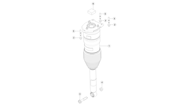 Rear air spring nikolacars