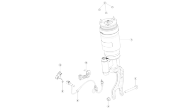 Front air spring nikolacars