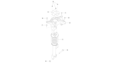 Front coil spring and damper nikolacars