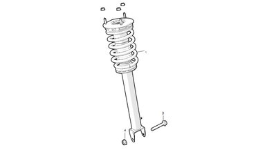 Front coil spring and damper nikolacars