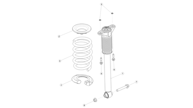 Rear coil spring and damper nikolacars