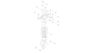 Front coil spring and damper nikolacars