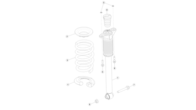 Rear coil spring and damper nikolacars