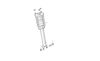 FRONT COIL SPRING MODULE - S2