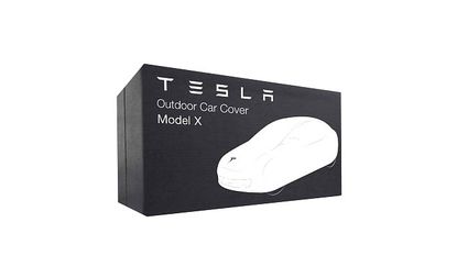 Чехол для электромобиля Tesla Model Х (светлый)