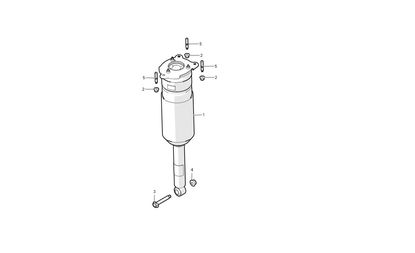 REAR AIR SPRING MODULE LH - DM