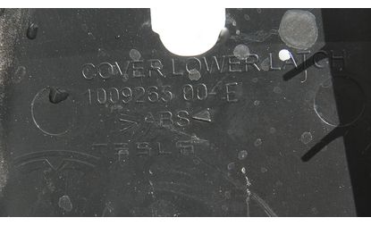 Крышка замка багажника (1009265 00-E)