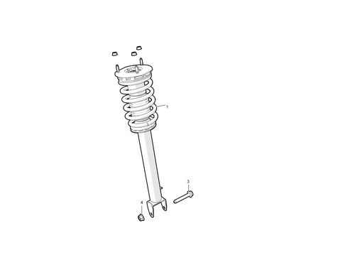 FRONT COIL SPRING MODULE - S2