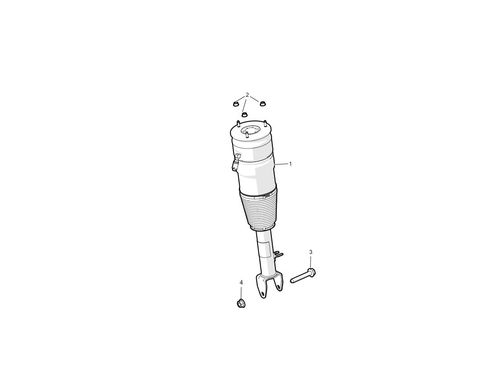 FRONT AIR SPRING MODULE - DM