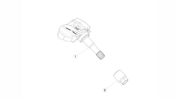 Колпачок датчика TPMS (SILVER) (1038973-00-A)